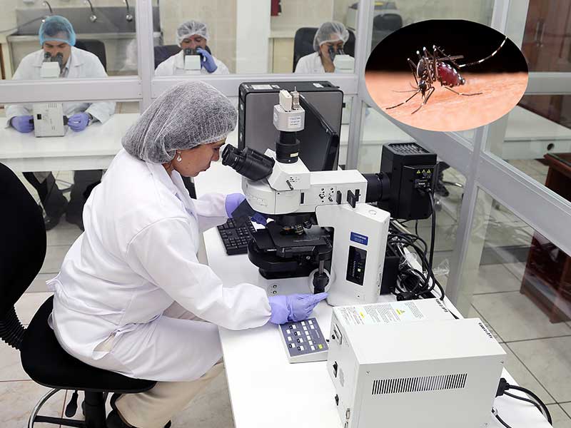 UPAO desarrolla investigación para combatir dengue - El equipo multidisciplinario internacional lo lidera la doctora Ofelia Córdova