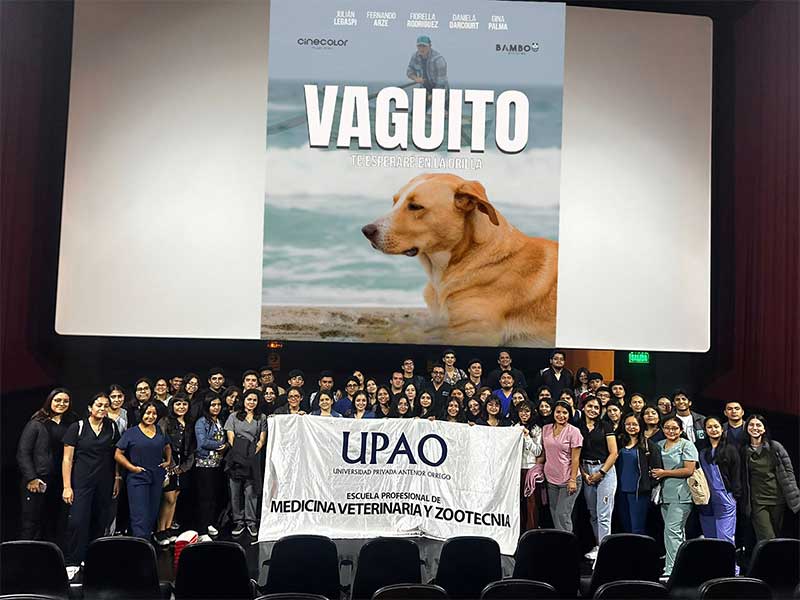 “Vaguito”: estudiantes de UPAO llenan salas de cine para ver película nacional - Los alumnos de Medicina Veterinaria fueron motivados por su docente para abarrotar las instalaciones. La historia del Hachiko peruano ha conmovido a miles de compatriotas.